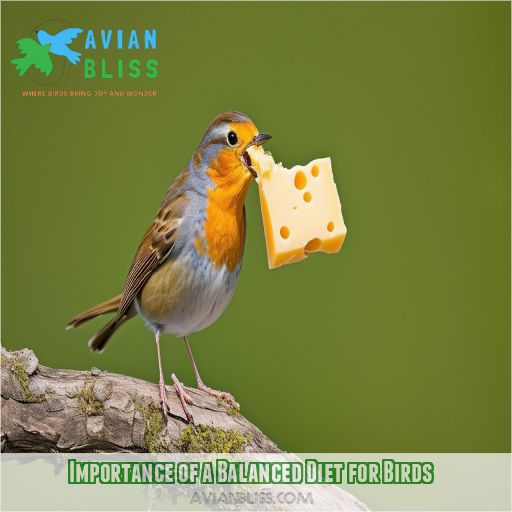 Importance of a Balanced Diet for Birds