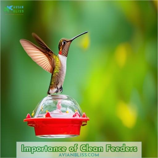 Importance of Clean Feeders