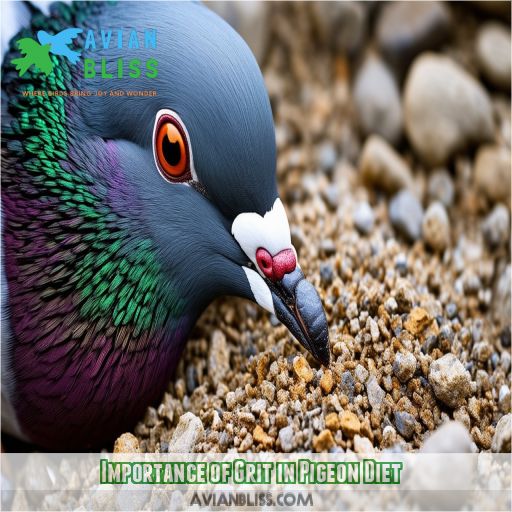 Importance of Grit in Pigeon Diet