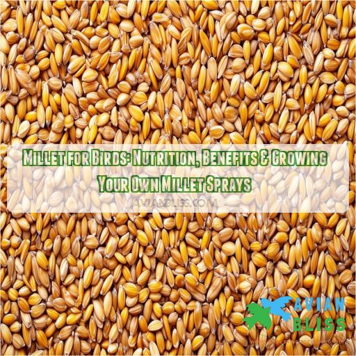 is millet good for birds learn the nutrient content more