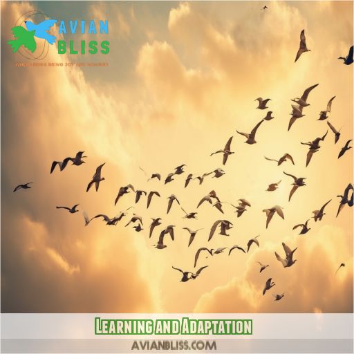 Learning and Adaptation