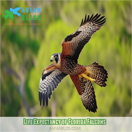 Life Expectancy of Florida Falcons