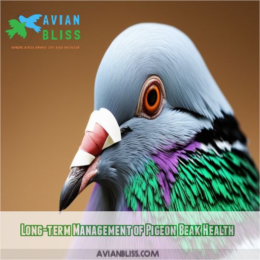 Long-term Management of Pigeon Beak Health