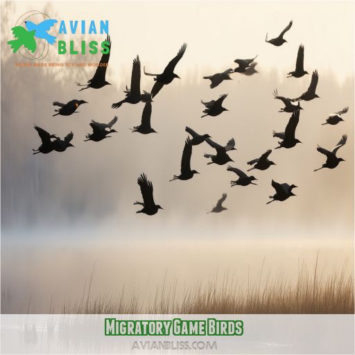 Migratory Game Birds
