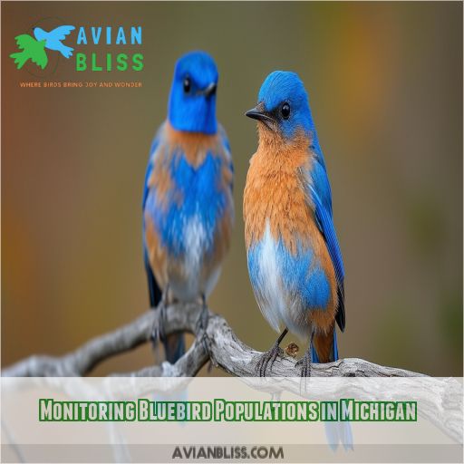 Monitoring Bluebird Populations in Michigan