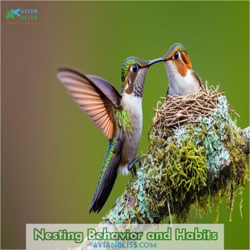 Nesting Behavior and Habits