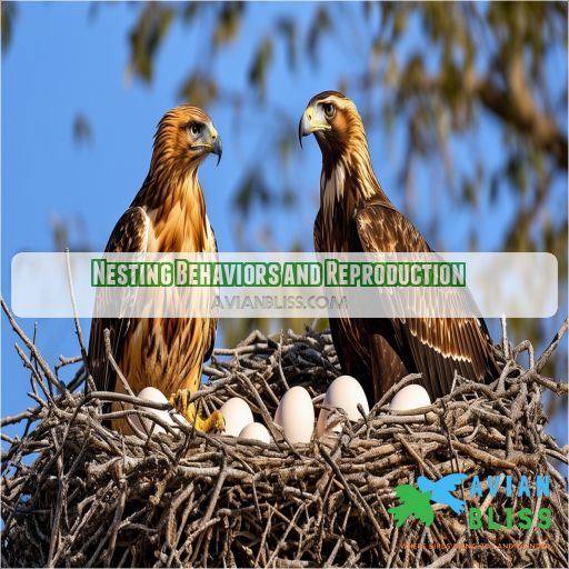 Nesting Behaviors and Reproduction