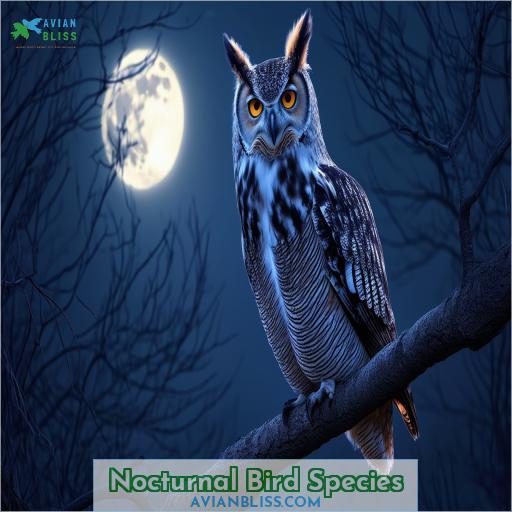 Nocturnal Bird Species