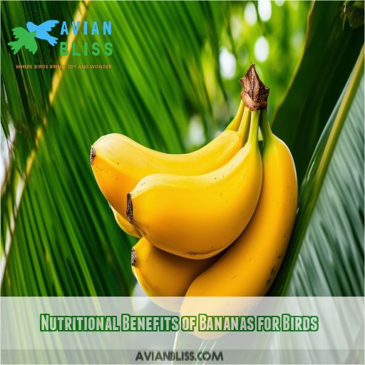 Nutritional Benefits of Bananas for Birds