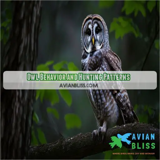 Owl Behavior and Hunting Patterns