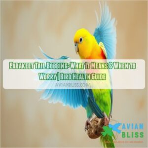 parakeet tail bobbing