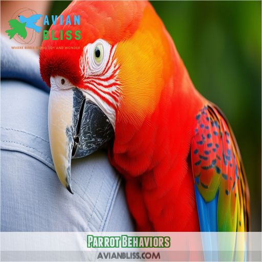 Parrot Behaviors