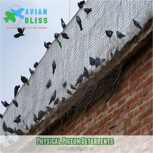 Physical Pigeon Deterrents