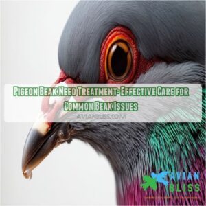 pigeon beak need treatment