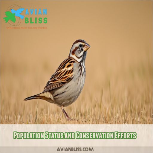 Population Status and Conservation Efforts
