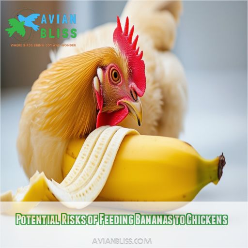 Potential Risks of Feeding Bananas to Chickens