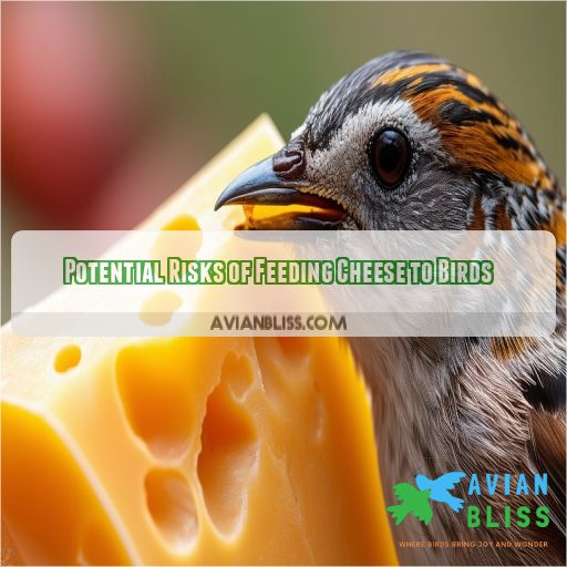 Potential Risks of Feeding Cheese to Birds