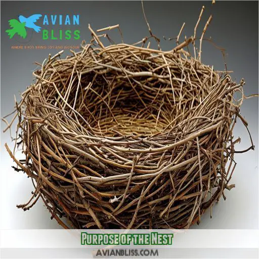 Purpose of the Nest