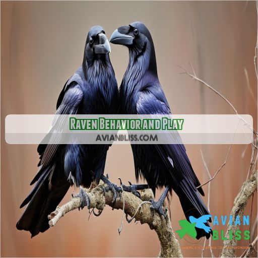 Raven Behavior and Play
