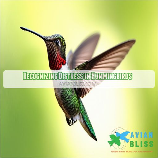 Recognizing Distress in Hummingbirds