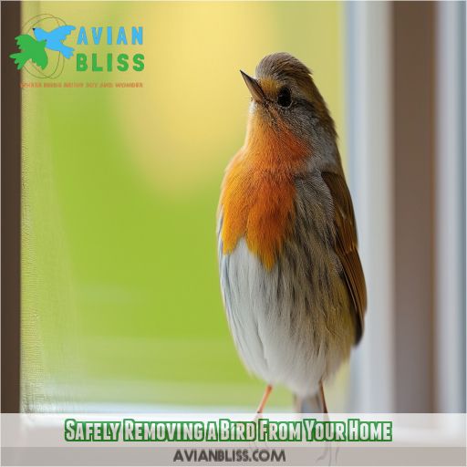 Safely Removing a Bird From Your Home
