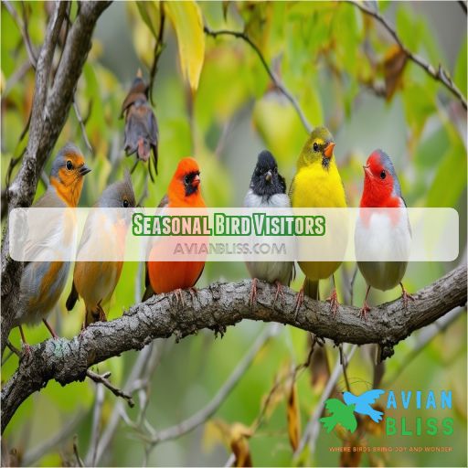 Seasonal Bird Visitors