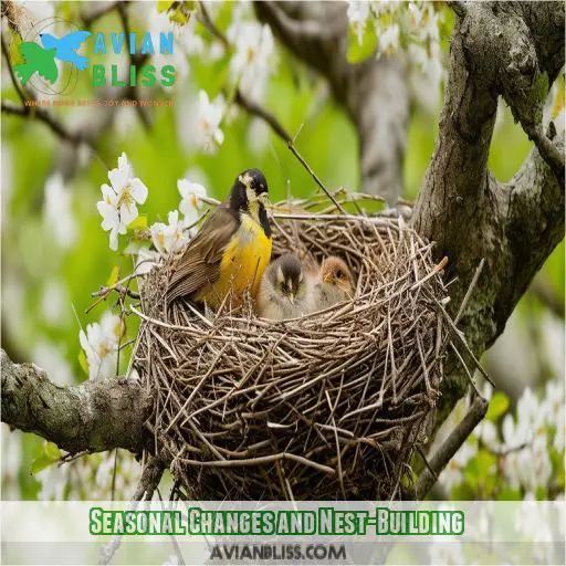 Seasonal Changes and Nest-Building