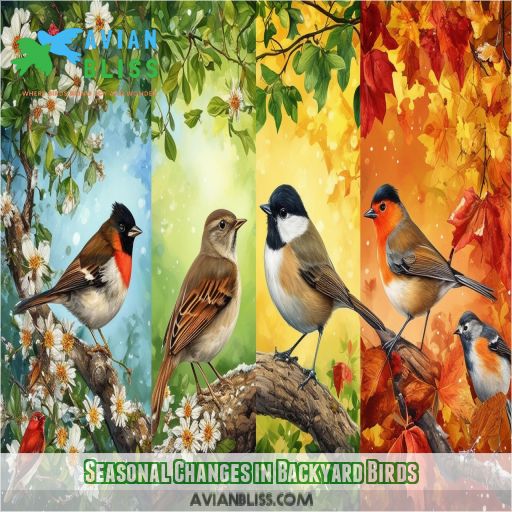 Seasonal Changes in Backyard Birds