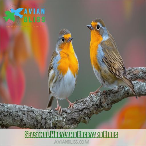 Seasonal Maryland Backyard Birds