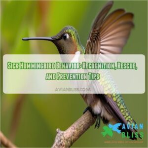 sick hummingbird behavior