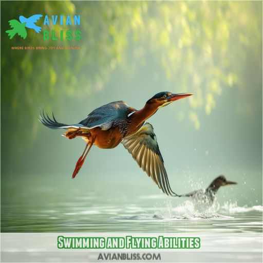 Swimming and Flying Abilities