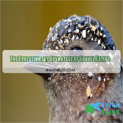 The Evolutionary Advantage of Gravel Eating