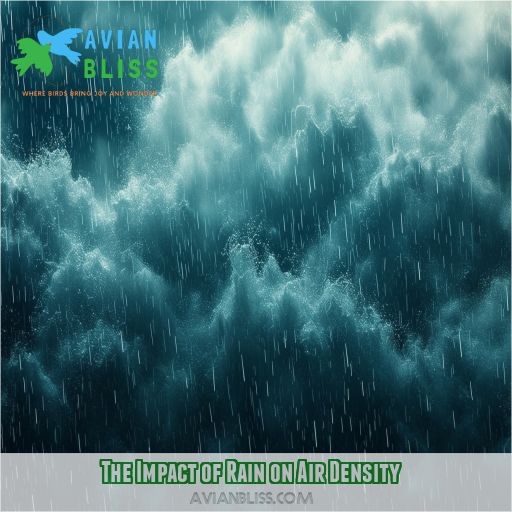 The Impact of Rain on Air Density