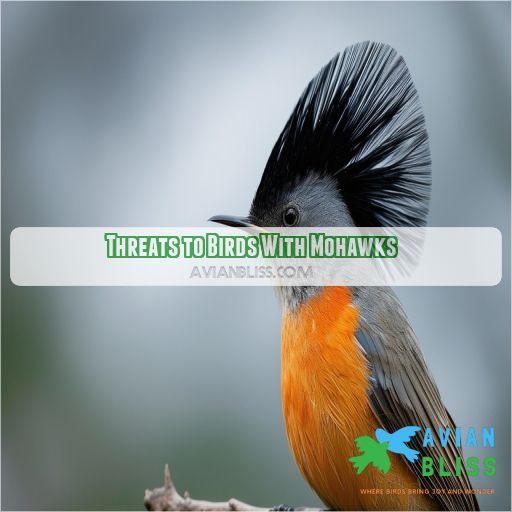 Threats to Birds With Mohawks