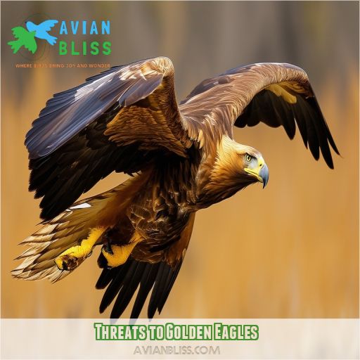 Threats to Golden Eagles