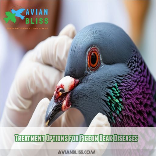 Treatment Options for Pigeon Beak Diseases