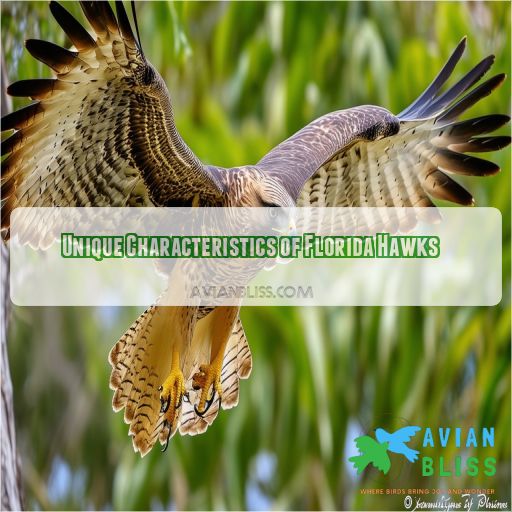 Unique Characteristics of Florida Hawks