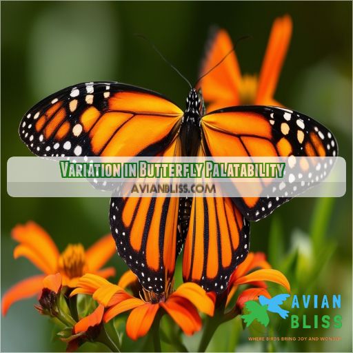 Variation in Butterfly Palatability