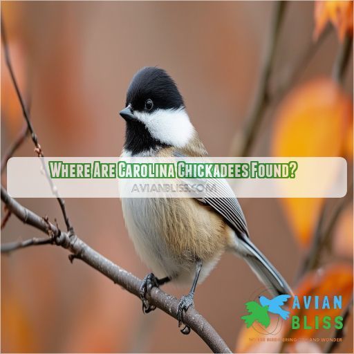 Where Are Carolina Chickadees Found