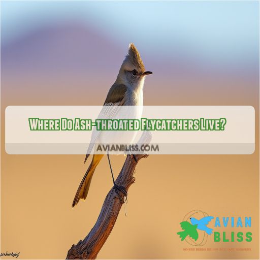 Where Do Ash-throated Flycatchers Live