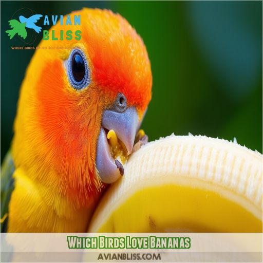 Which Birds Love Bananas