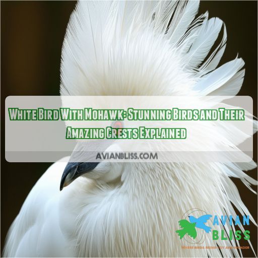 white bird with mohawk