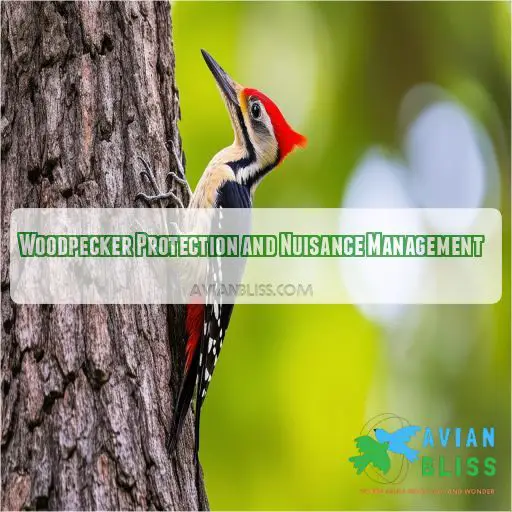Woodpecker Protection and Nuisance Management