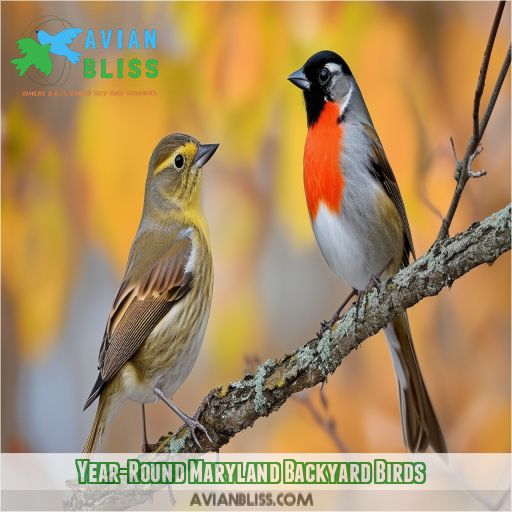 Year-Round Maryland Backyard Birds