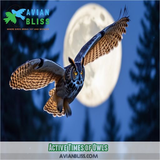 Active Times of Owls