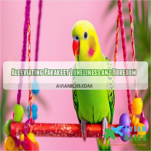 Alleviating Parakeet Loneliness and Boredom
