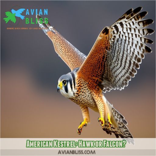 American Kestrel: Hawk or Falcon