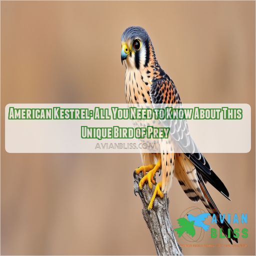 american kestrel