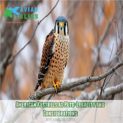 American Kestrels as Pets: Legality and Considerations