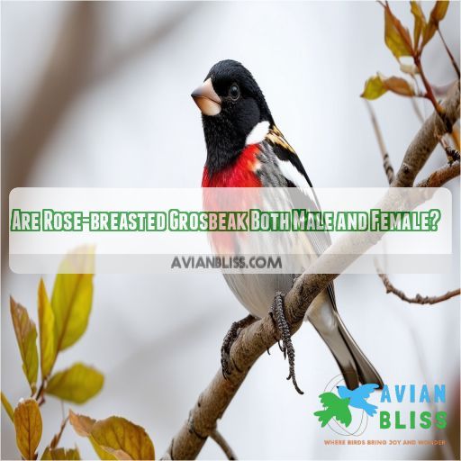 Are Rose-breasted Grosbeak Both Male and Female